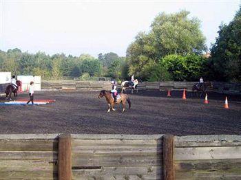 Willowbrook Riding Centre Chichester Exterior photo